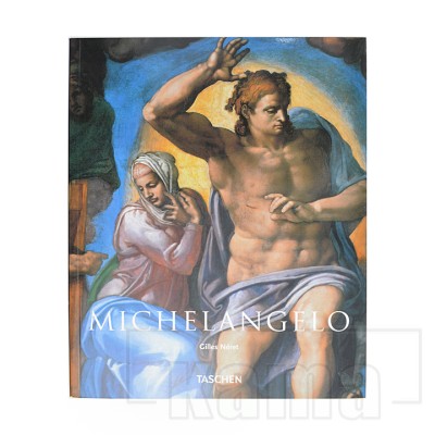 AC-LI0848, Michelangelo