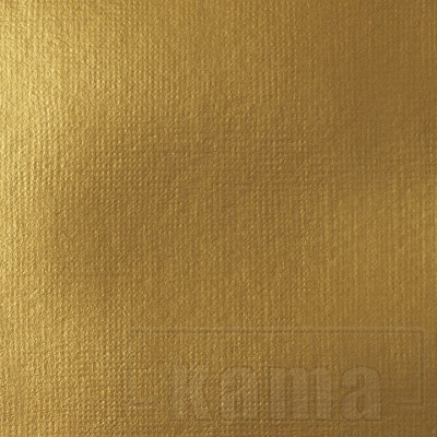 PA-LQ1046, Liquitex Heavy Body, Iridescent Rich Gold