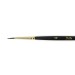 PI-AQ0035-04, Watercolor Brush Squirrel Round Pointy Form n°4