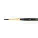 PI-AQ0035-06, Watercolor Brush Squirrel Round Pointy Form n°6